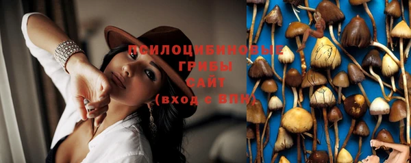 ешки Михайловск