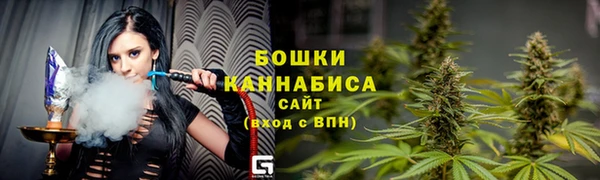 PSILOCYBIN Михайлов