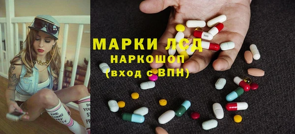 PSILOCYBIN Михайлов