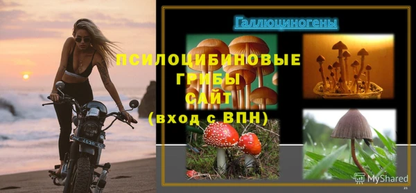 ешки Михайловск