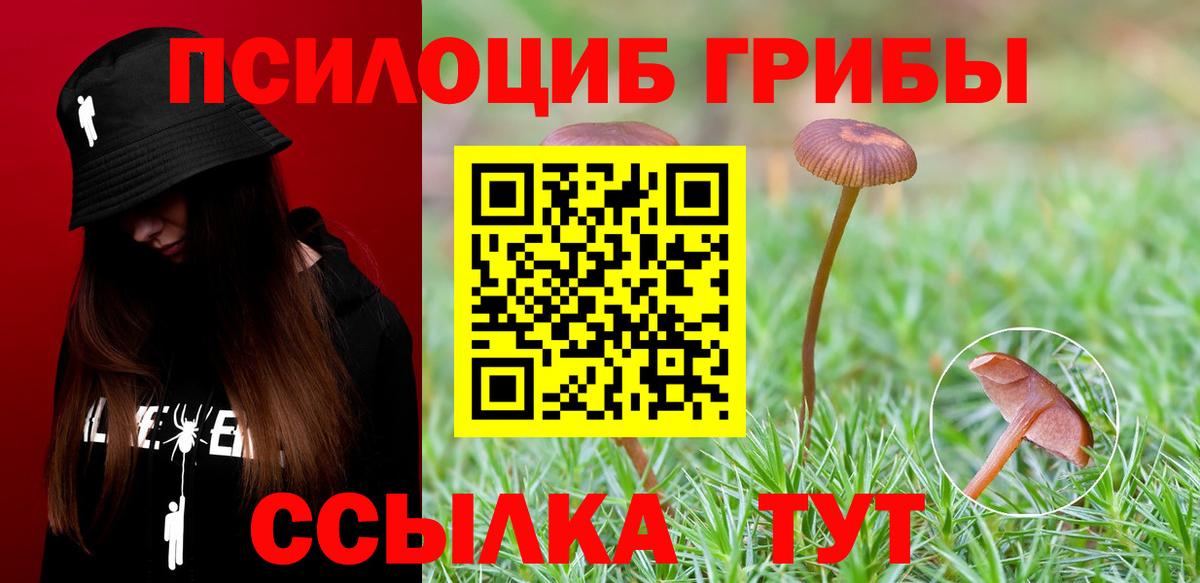 Галлюциногенные грибы мицелий Нальчик