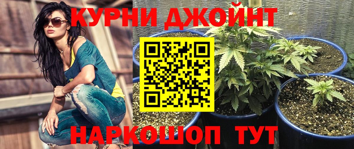 Каннабис тримм  Вход с VPN  Канабис семена  Нальчик 